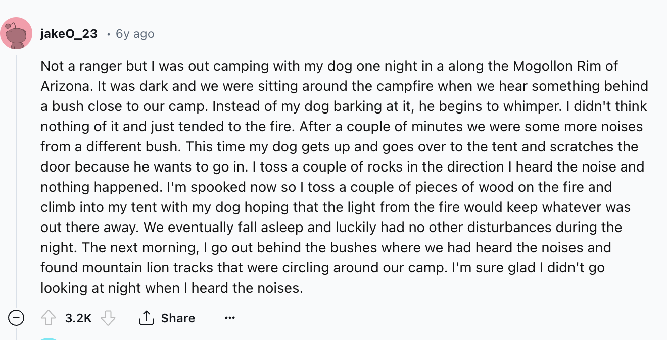 number - jakeO_23 6y ago Not a ranger but I was out camping with my dog one night in a along the Mogollon Rim of Arizona. It was dark and we were sitting around the campfire when we hear something behind a bush close to our camp. Instead of my dog barking